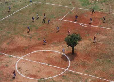 Baum auf dem Fussballplatz