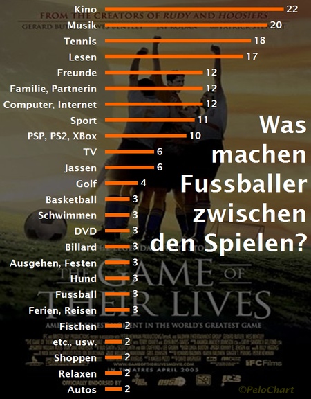 umfrage profis schweiz